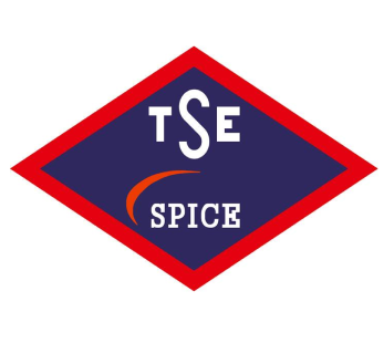TSE Spice Logo